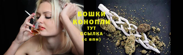 метадон Зеленодольск