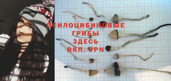 метадон Зеленодольск