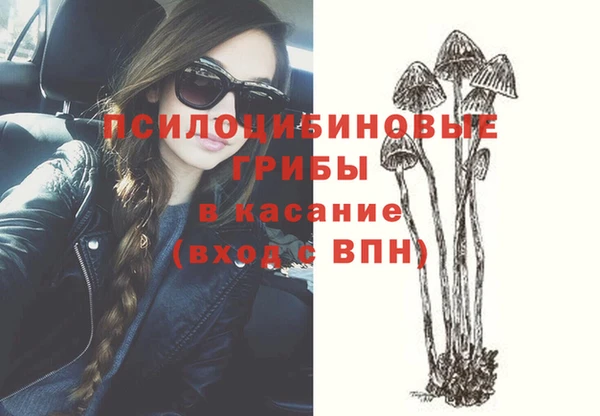 мяу мяу мука Зерноград