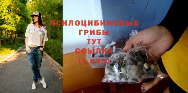 метадон Зеленодольск
