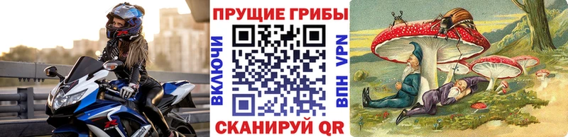 хочу Касли Галлюциногенные грибы MAGIC MUSHROOMS